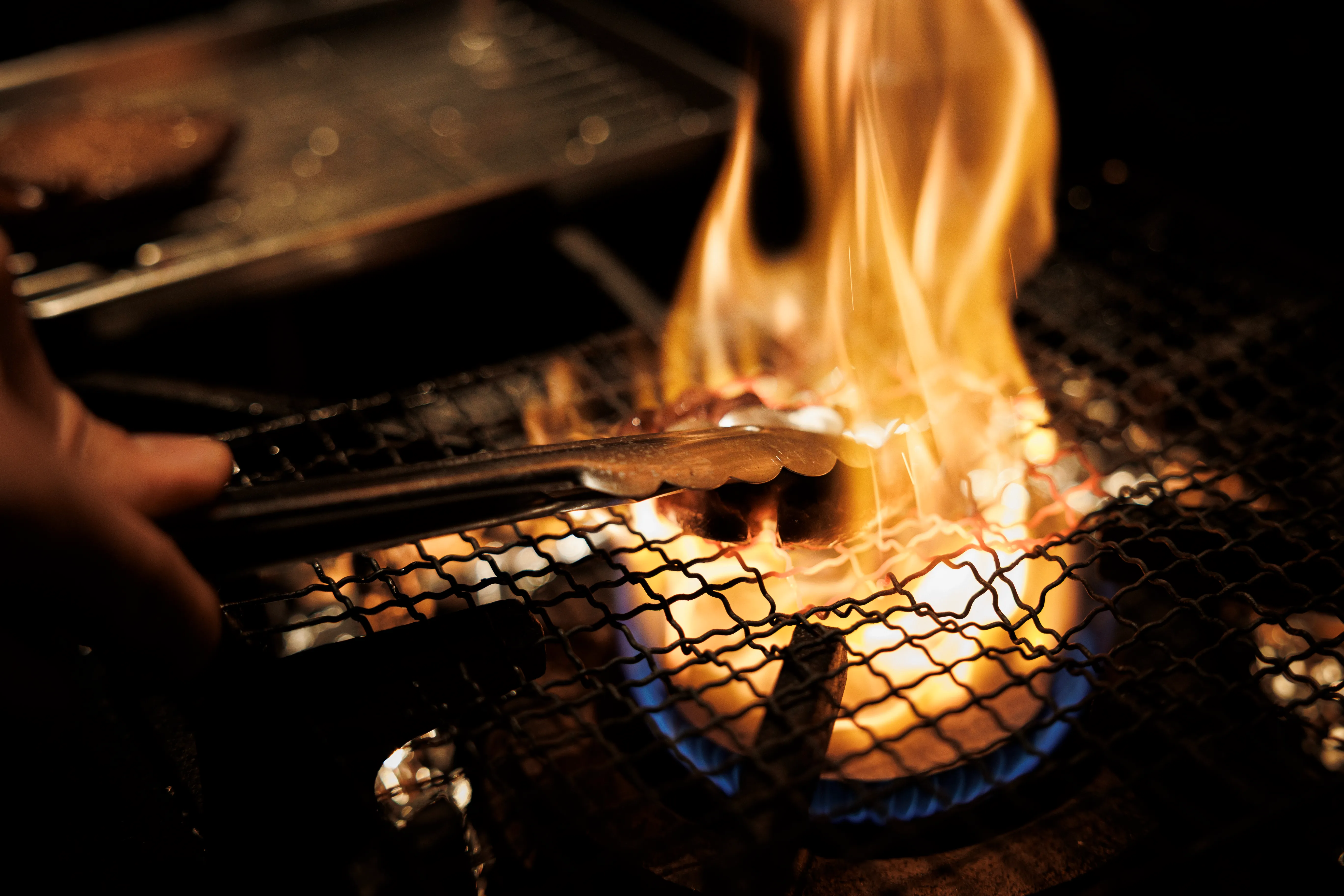 imgi_61_s-5472x3648_v-frms_webp_430f99e9-9042-4d7c-b98e-f95feb1b94d2.webp